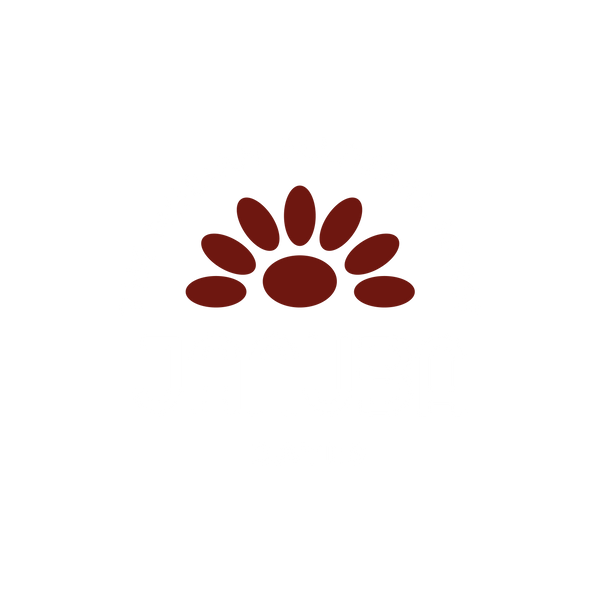Januba Dates